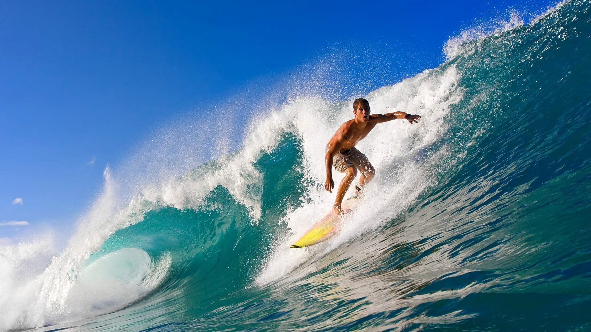 开云体育登录-小贾伦·杰克逊，沉默巨塔下的季后赛革命